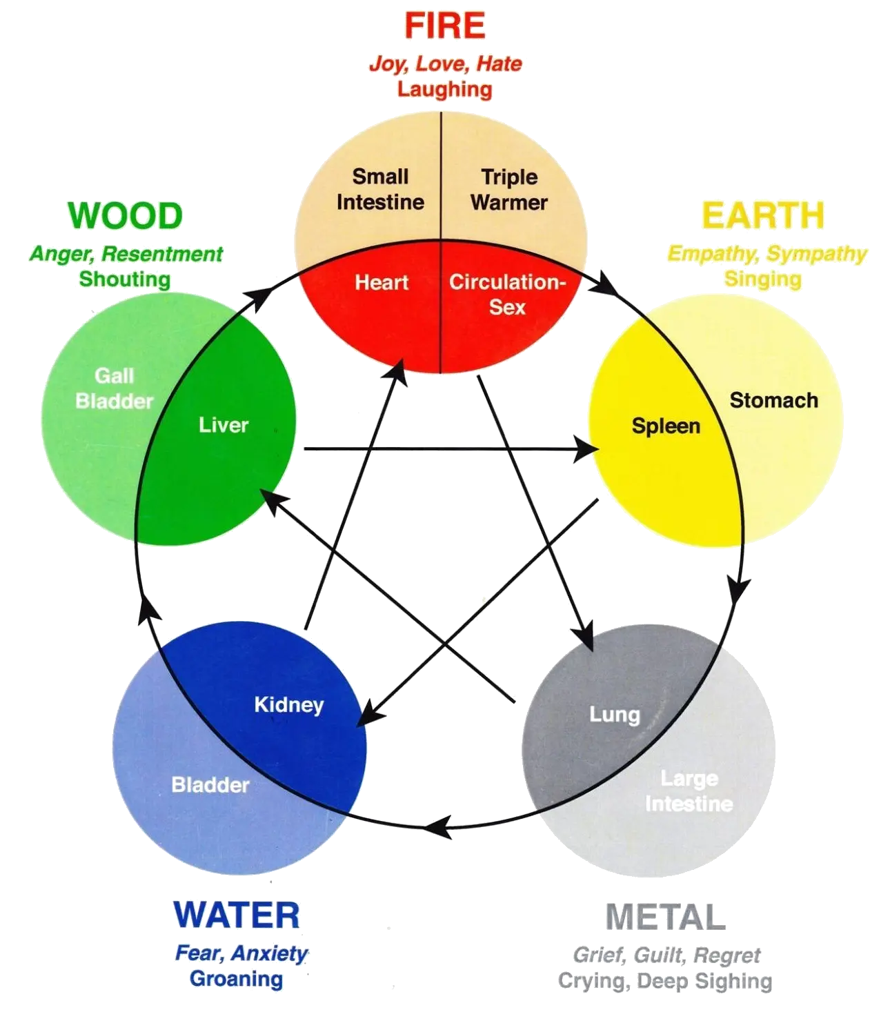 Diagram of the five elements of acupuncture